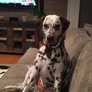 Meet your Posher, Jackie